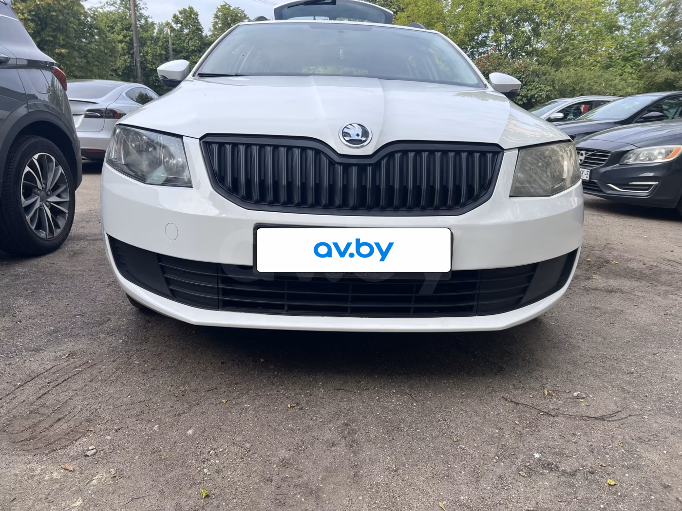 Skoda Octavia фото 3