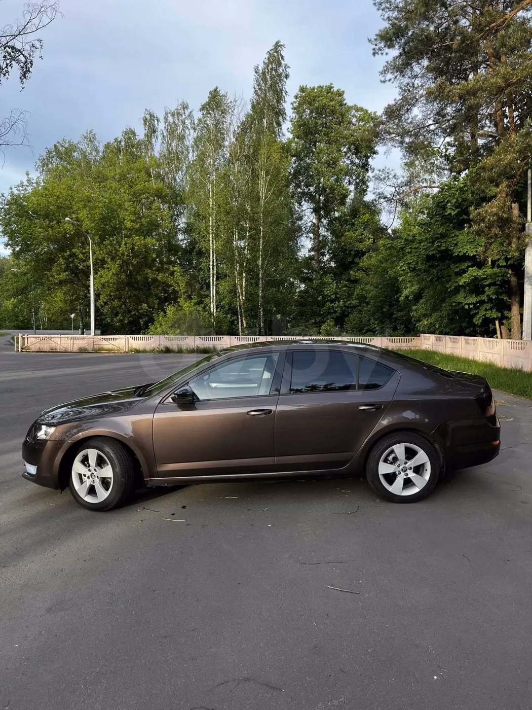 Skoda Octavia фото 4