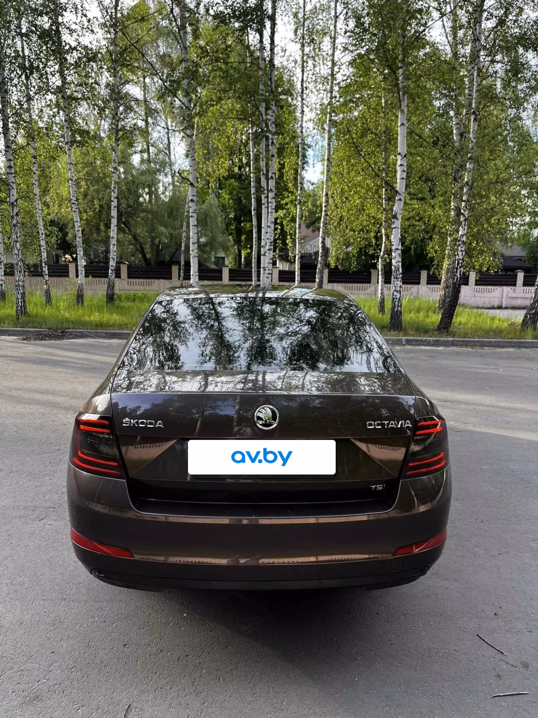 Skoda Octavia фото 6