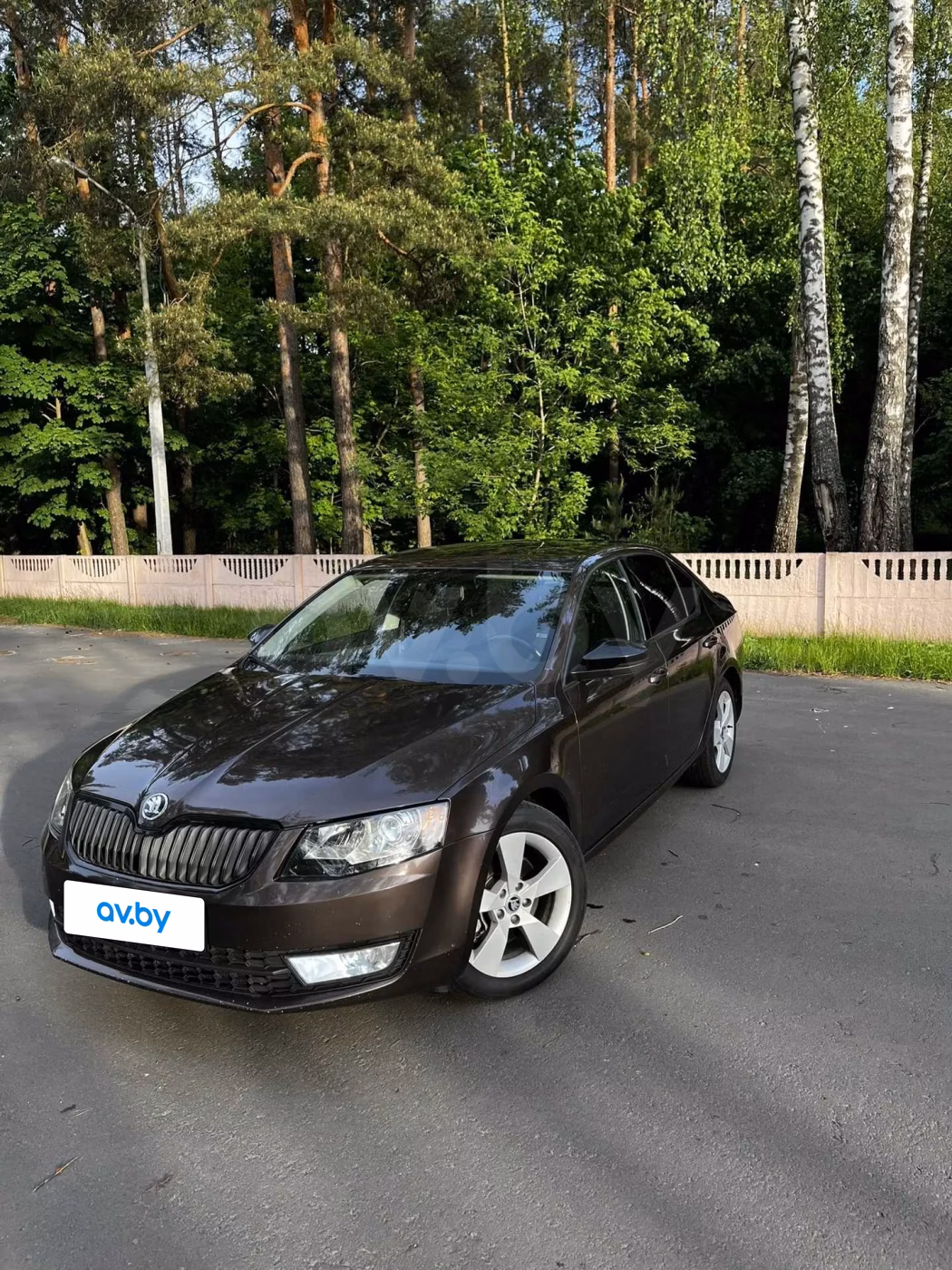 Skoda Octavia фото 2