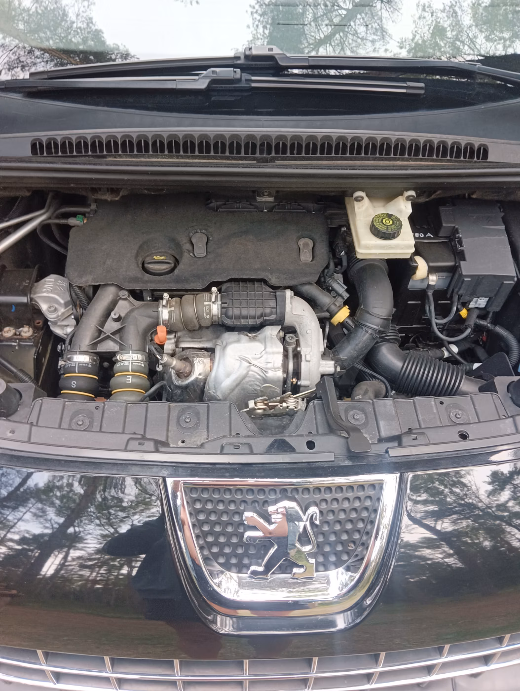 Peugeot 3008 фото 17