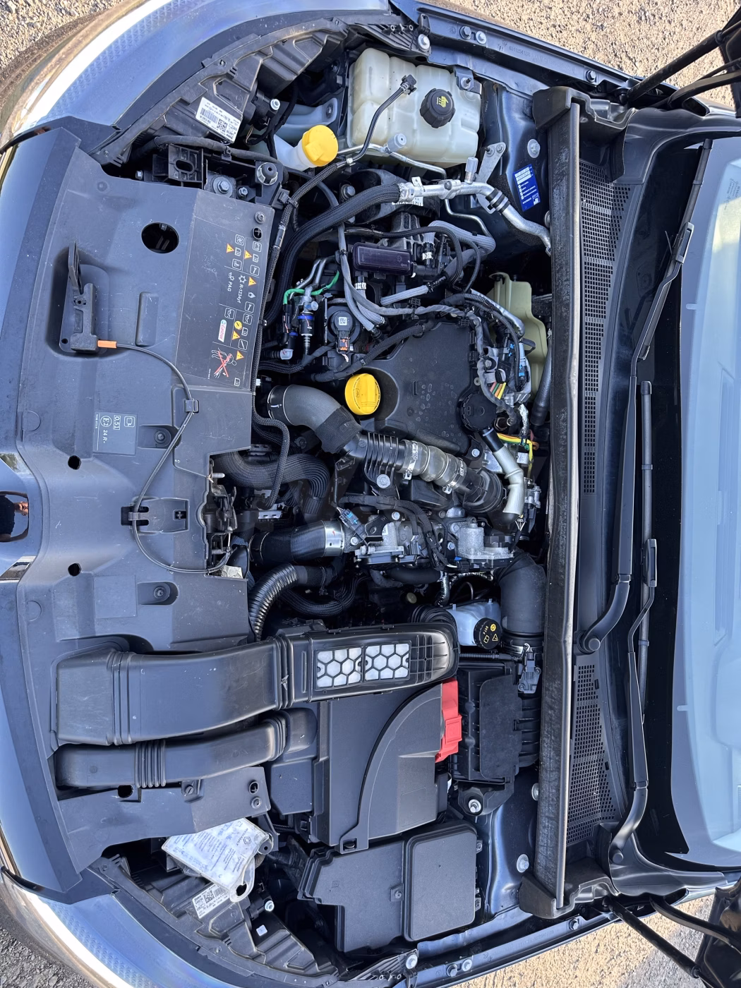 Renault Megane фото 9