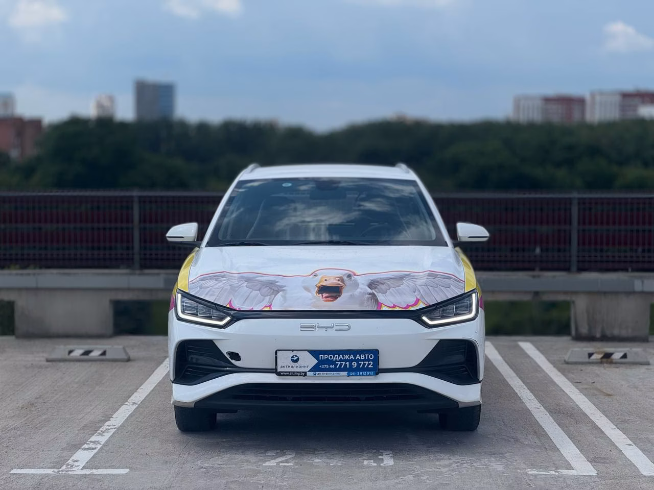 BYD e2 фото 2