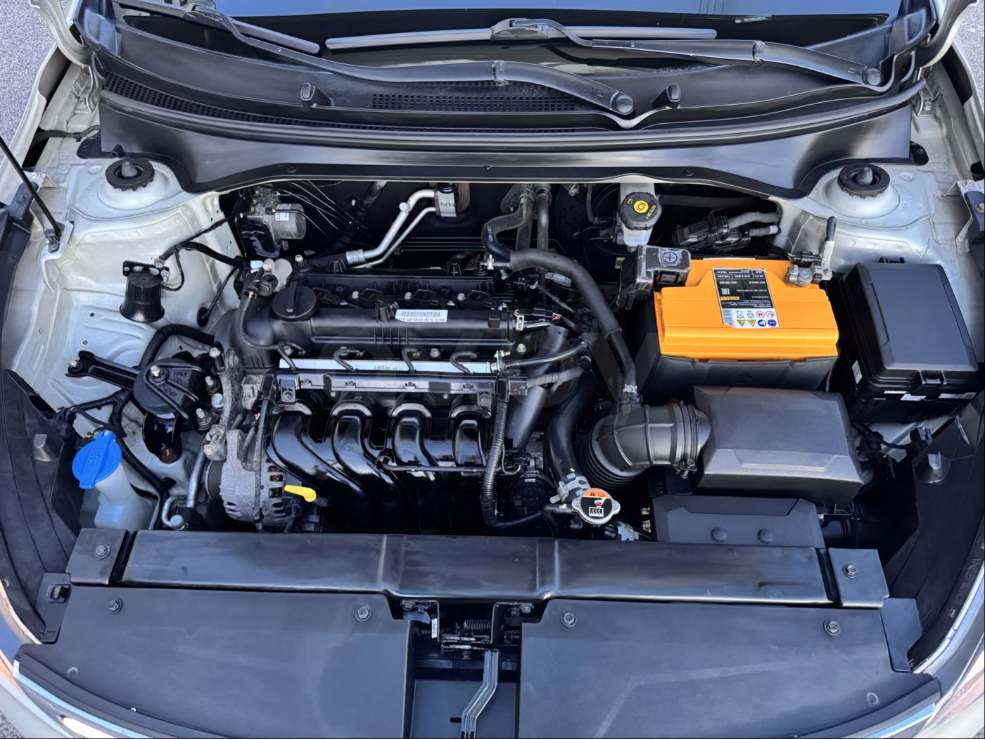 Kia Rio X (X-Line) фото 20
