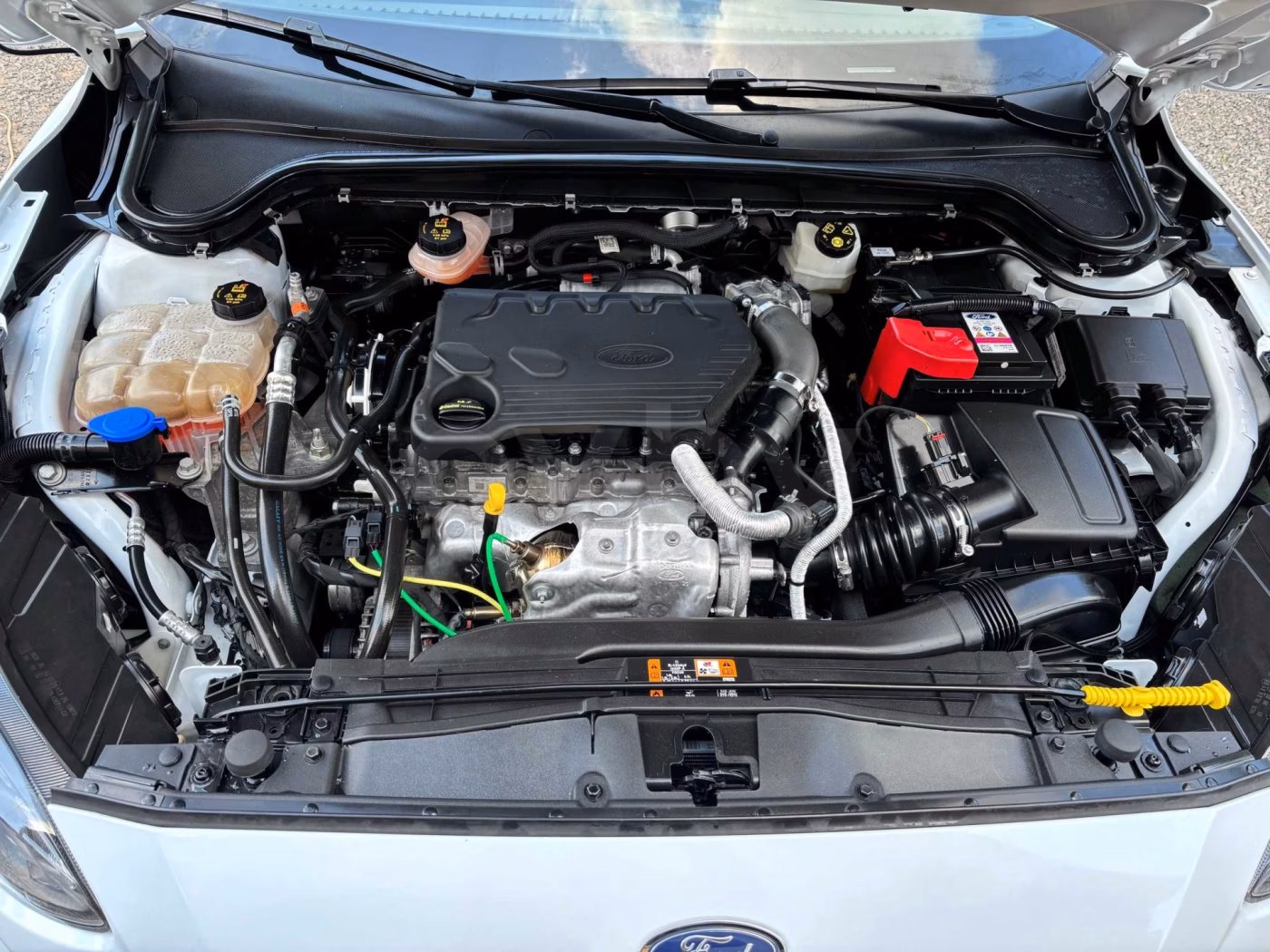 Ford Focus Active фото 10