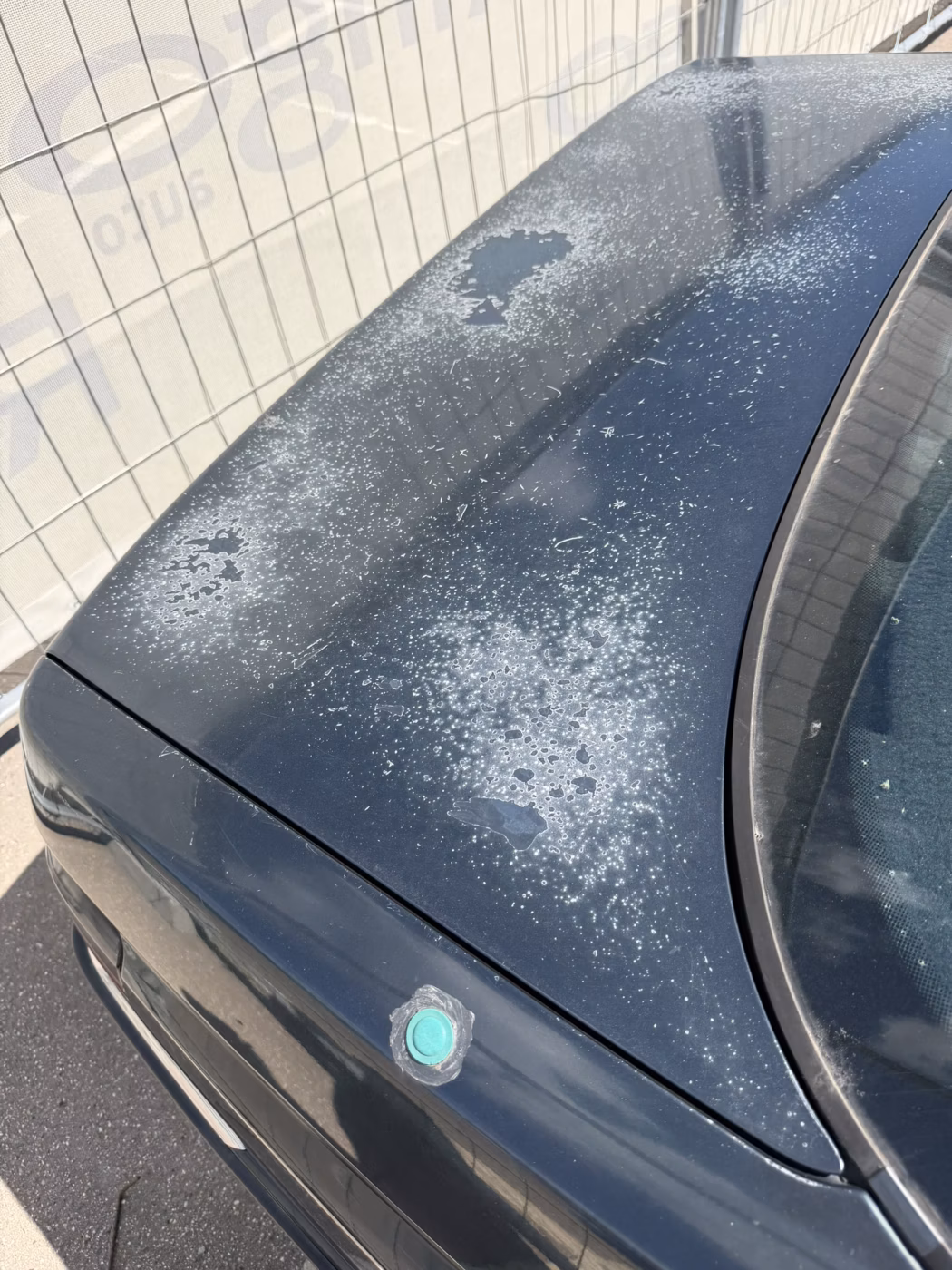 Peugeot 605 фото 8