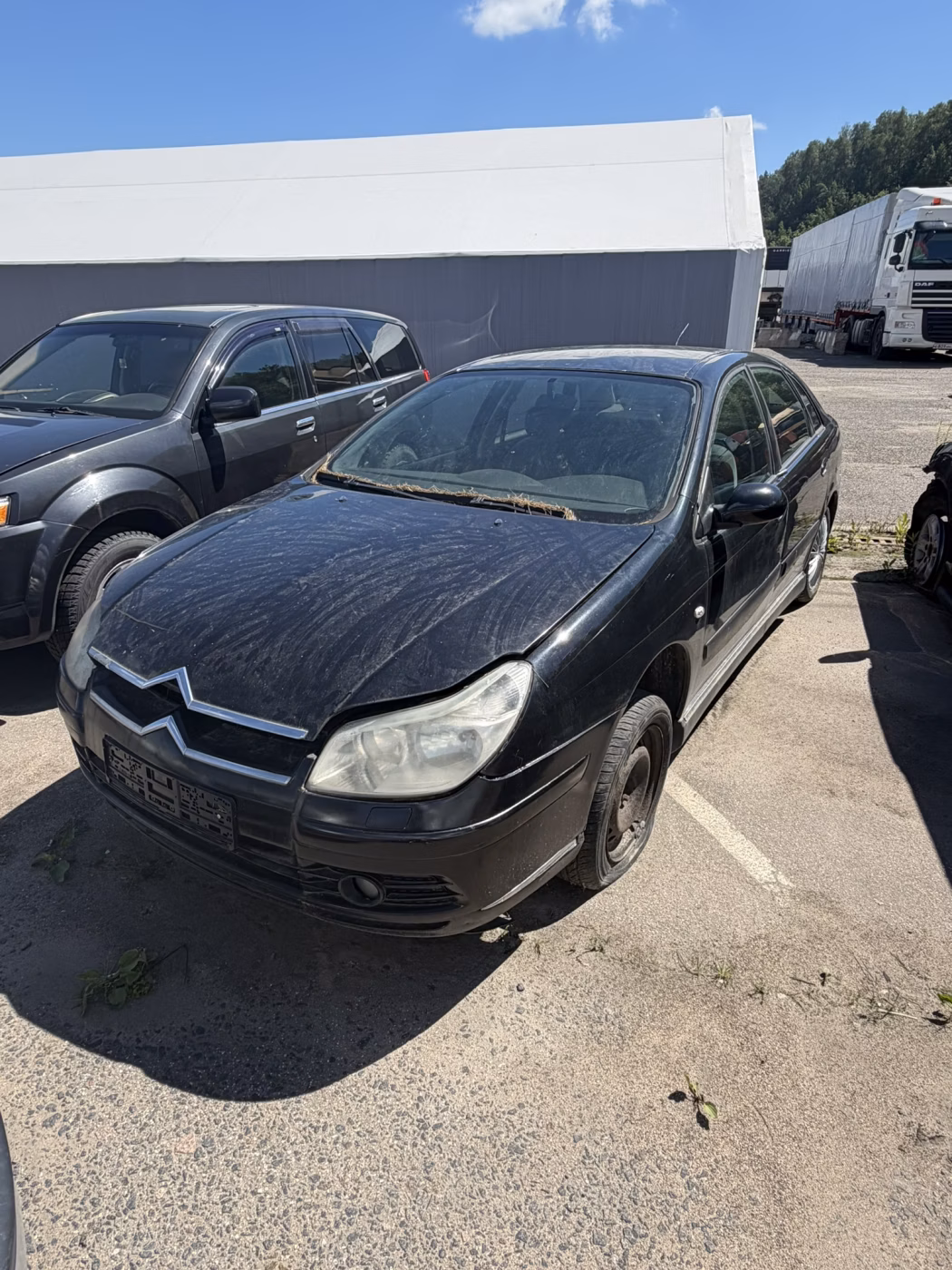 Citroen C5 фото 2