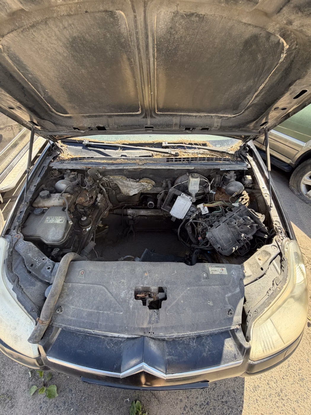 Citroen C5 фото 5
