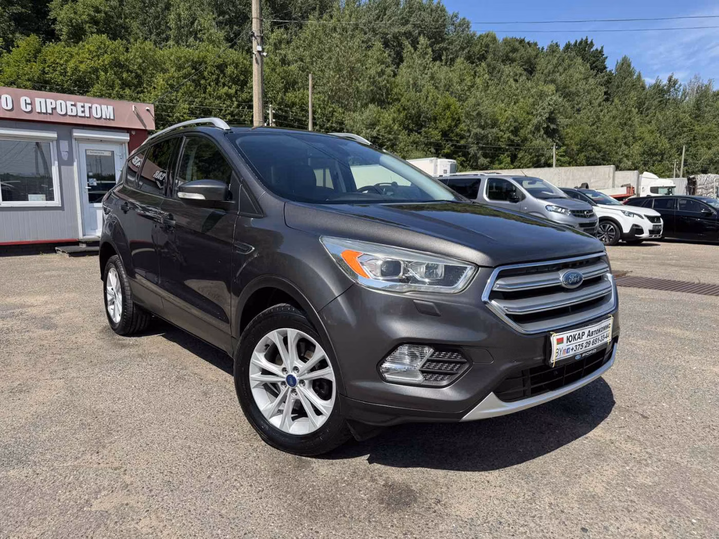 Ford Kuga фото 2