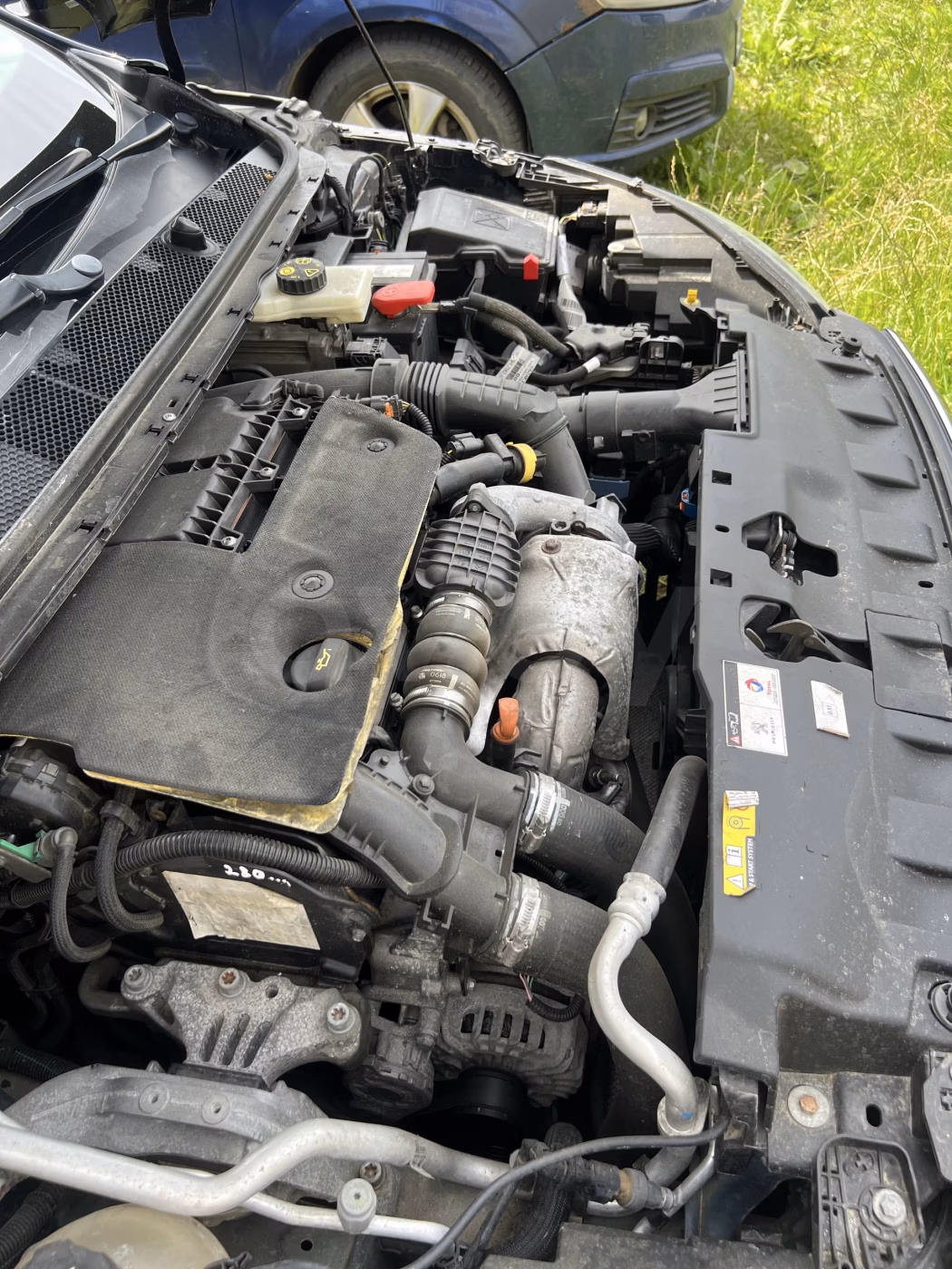 Peugeot 308 фото 3
