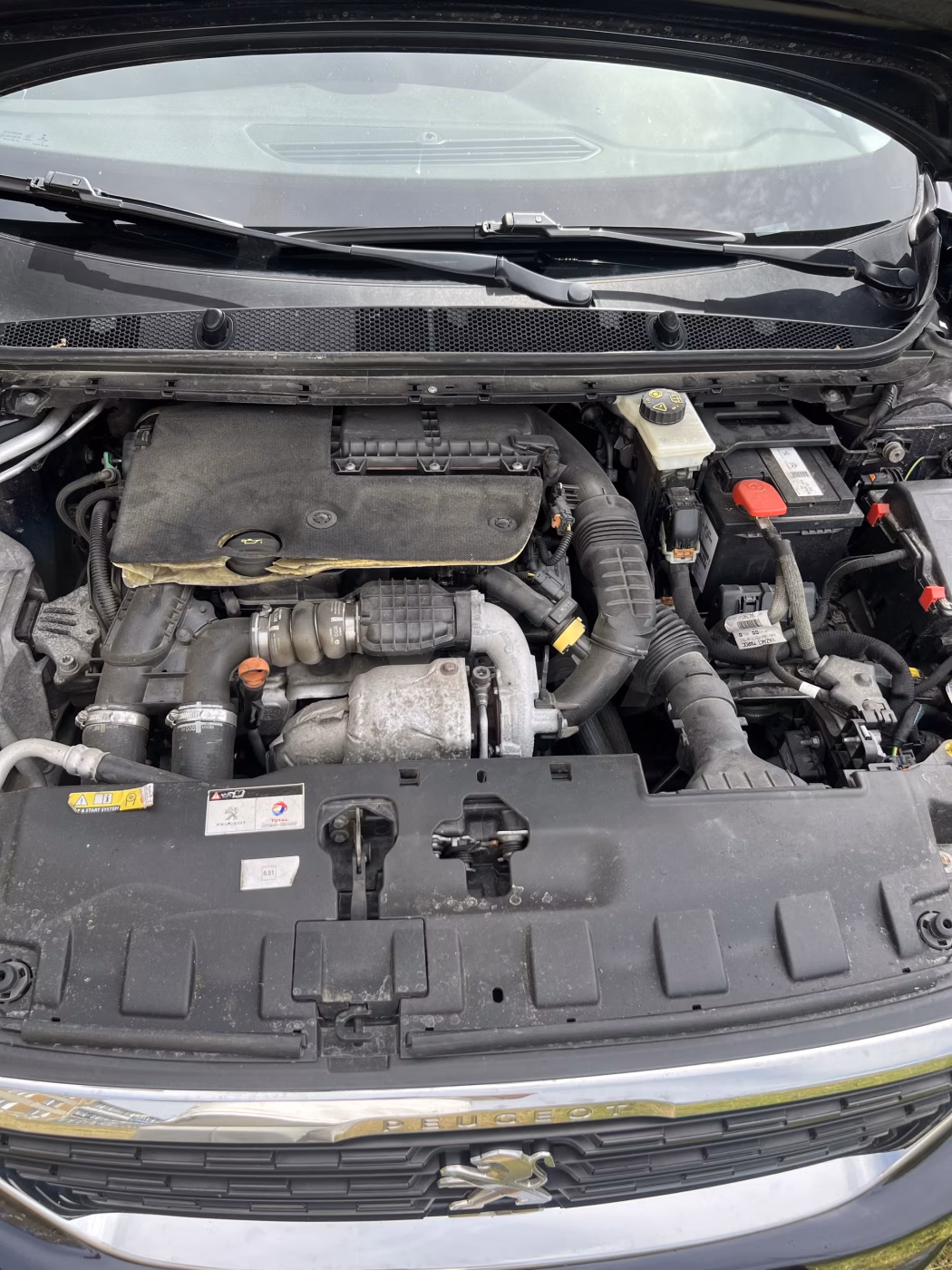 Peugeot 308 фото 10