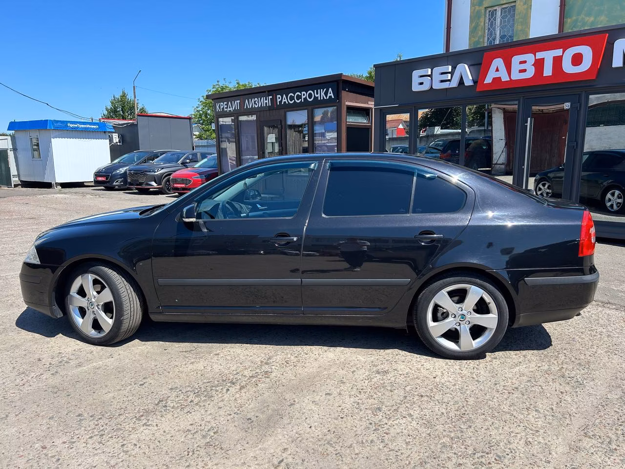Skoda Octavia фото 8