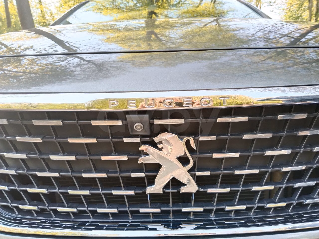 Peugeot 3008 фото 17