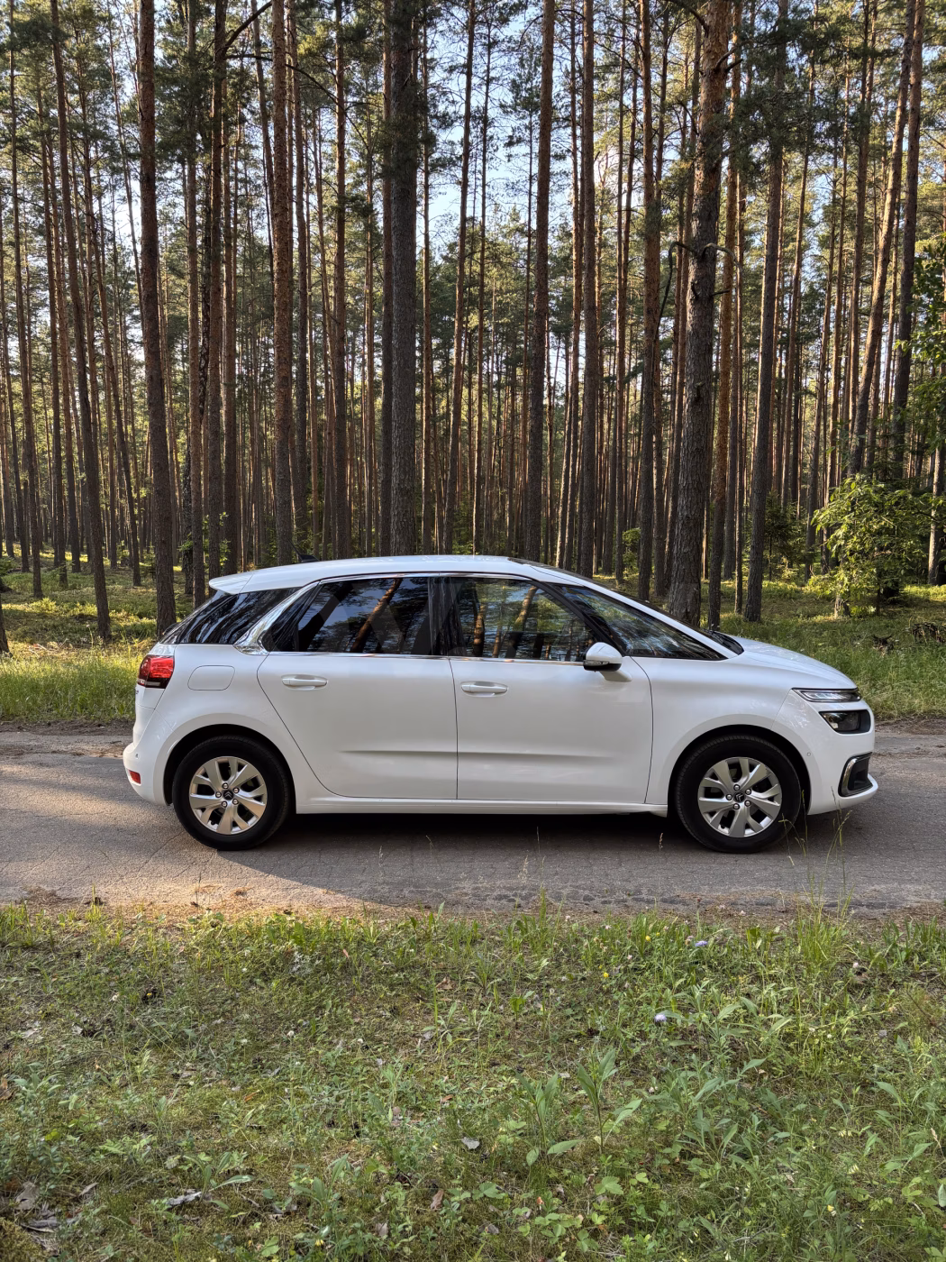 Citroen C4 Picasso фото 7