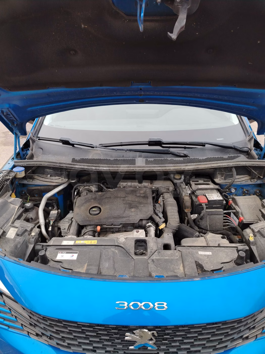 Peugeot 3008 фото 27