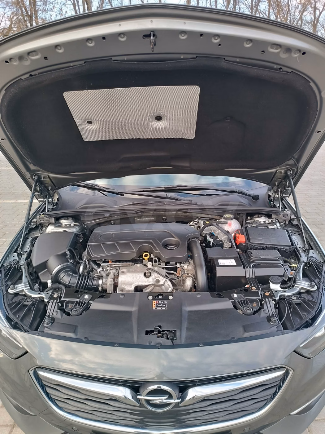 Opel Insignia фото 11