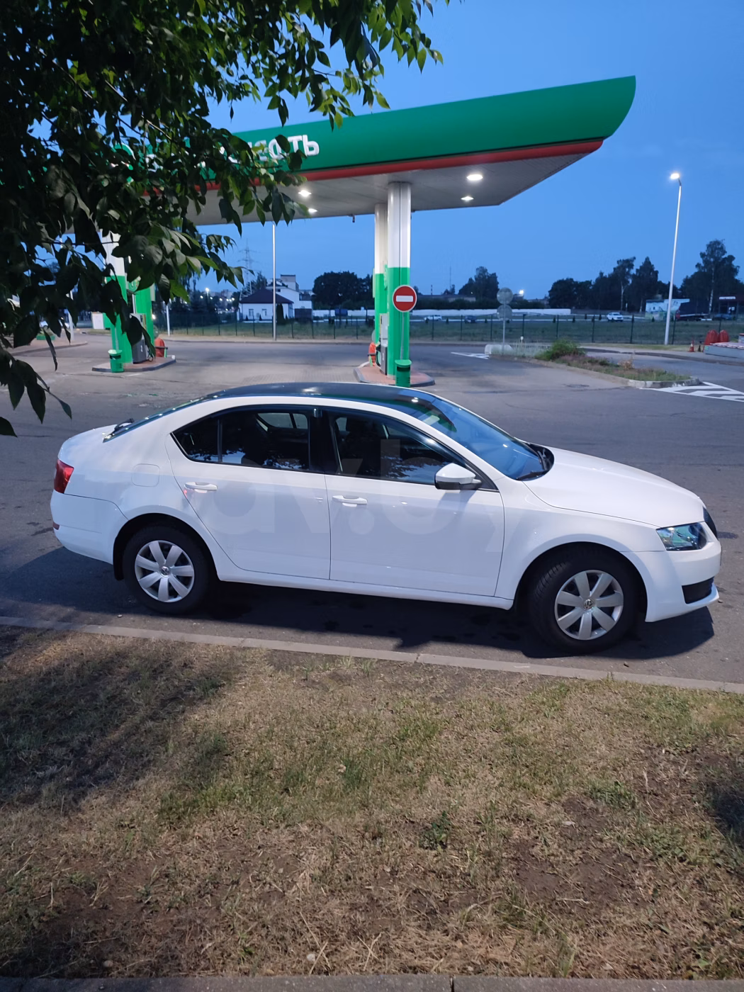 Skoda Octavia фото 11