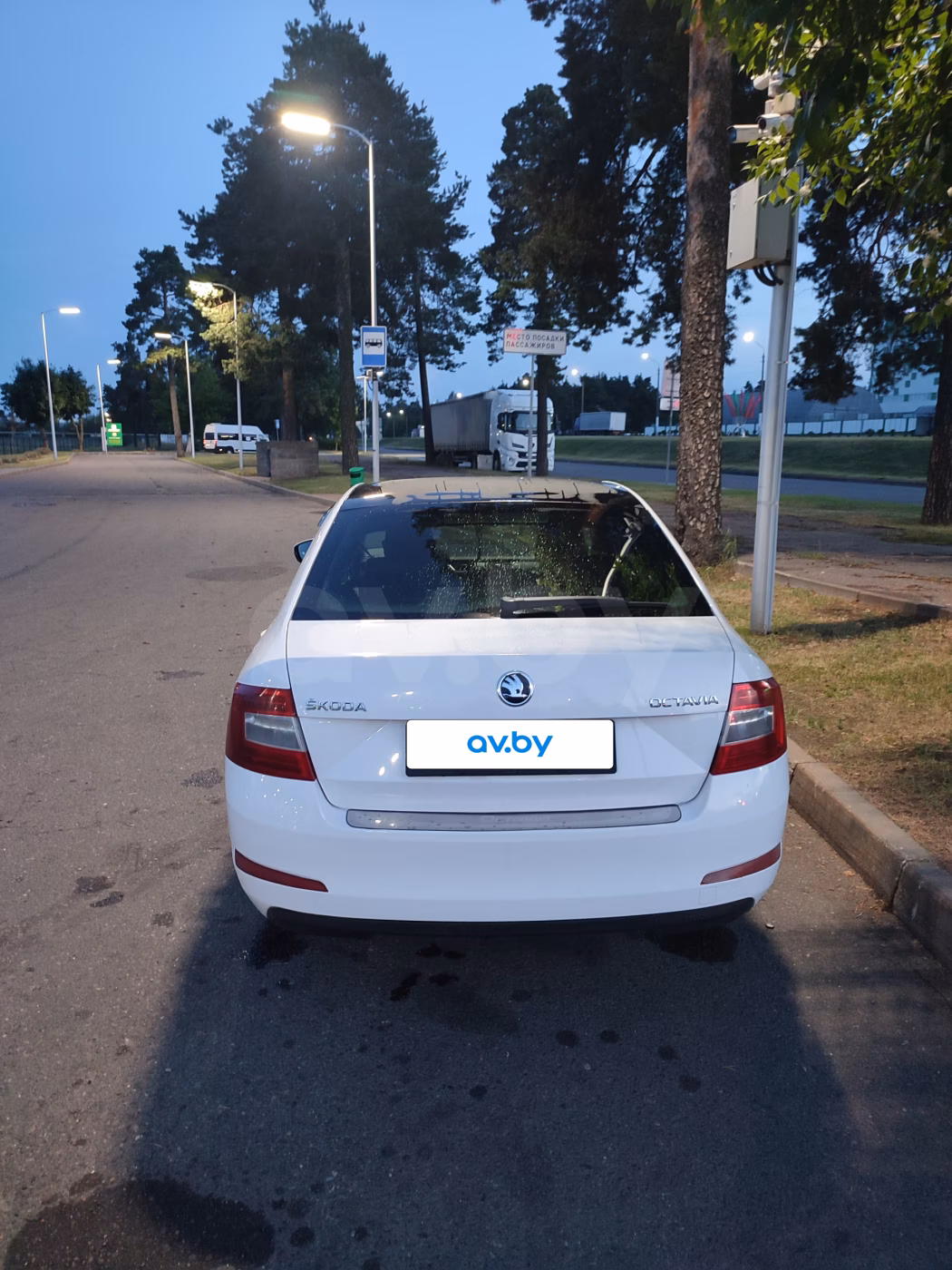 Skoda Octavia фото 12