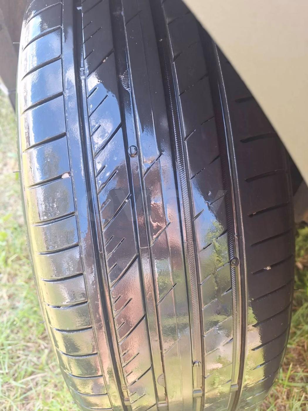 Ford Kuga фото 18