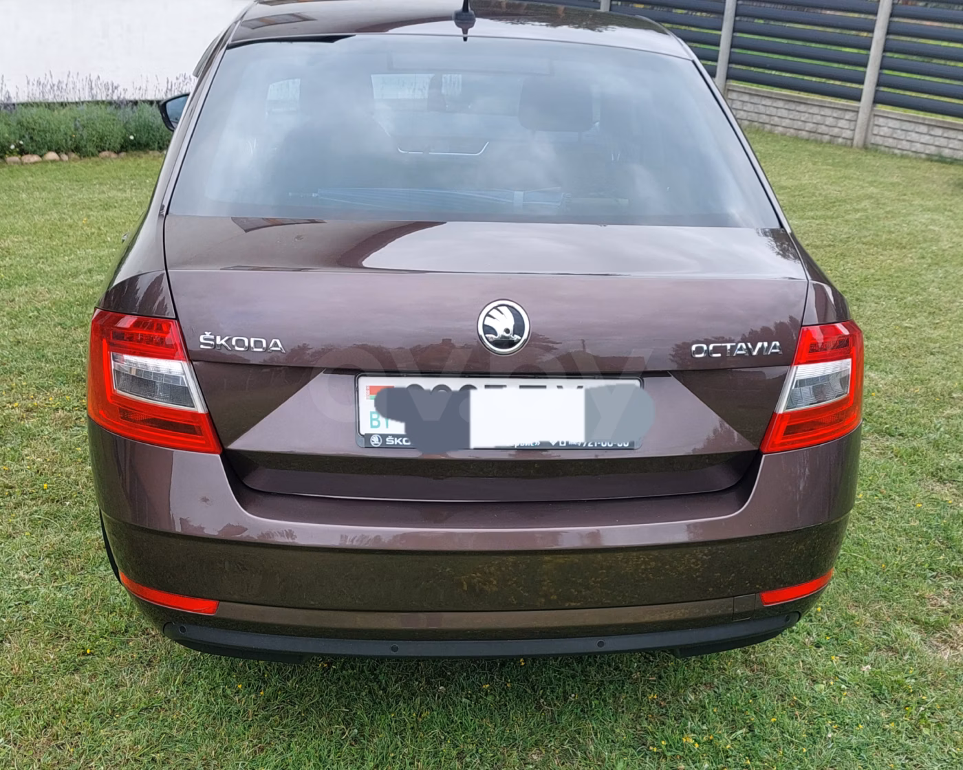 Skoda Octavia фото 5