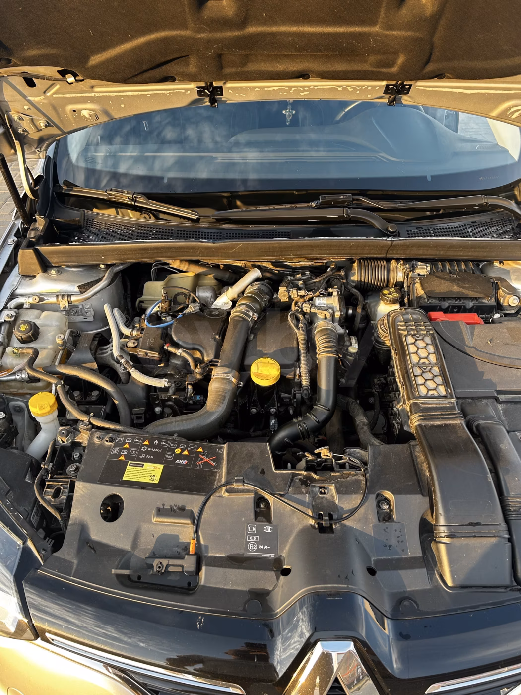 Renault Megane фото 7