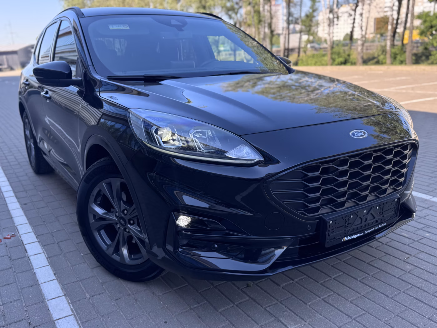 Ford Kuga фото 22
