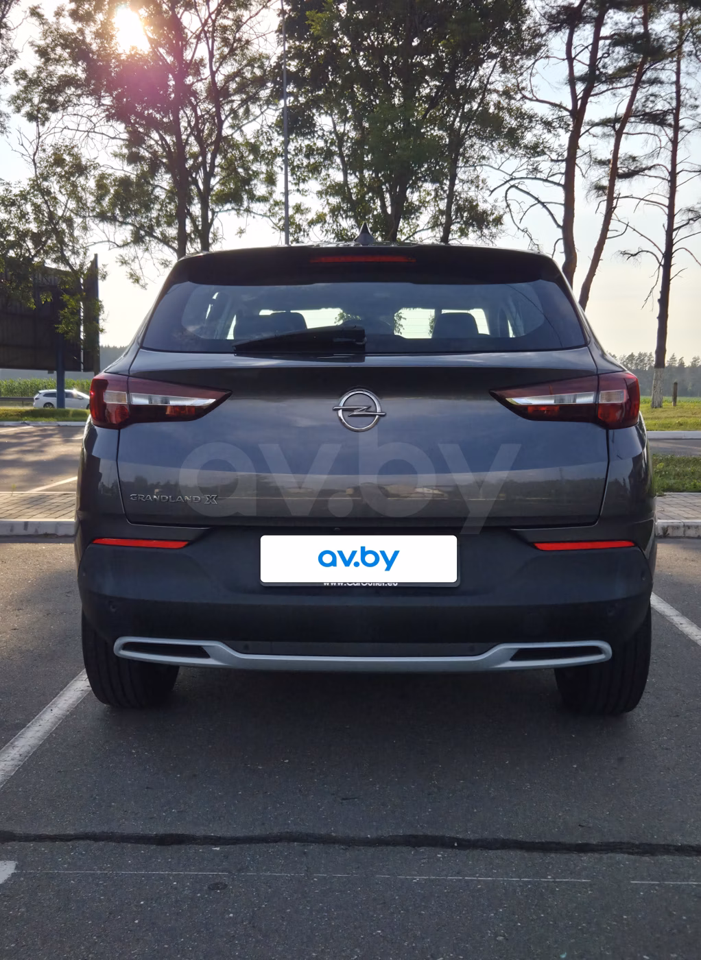 Opel Grandland X фото 3