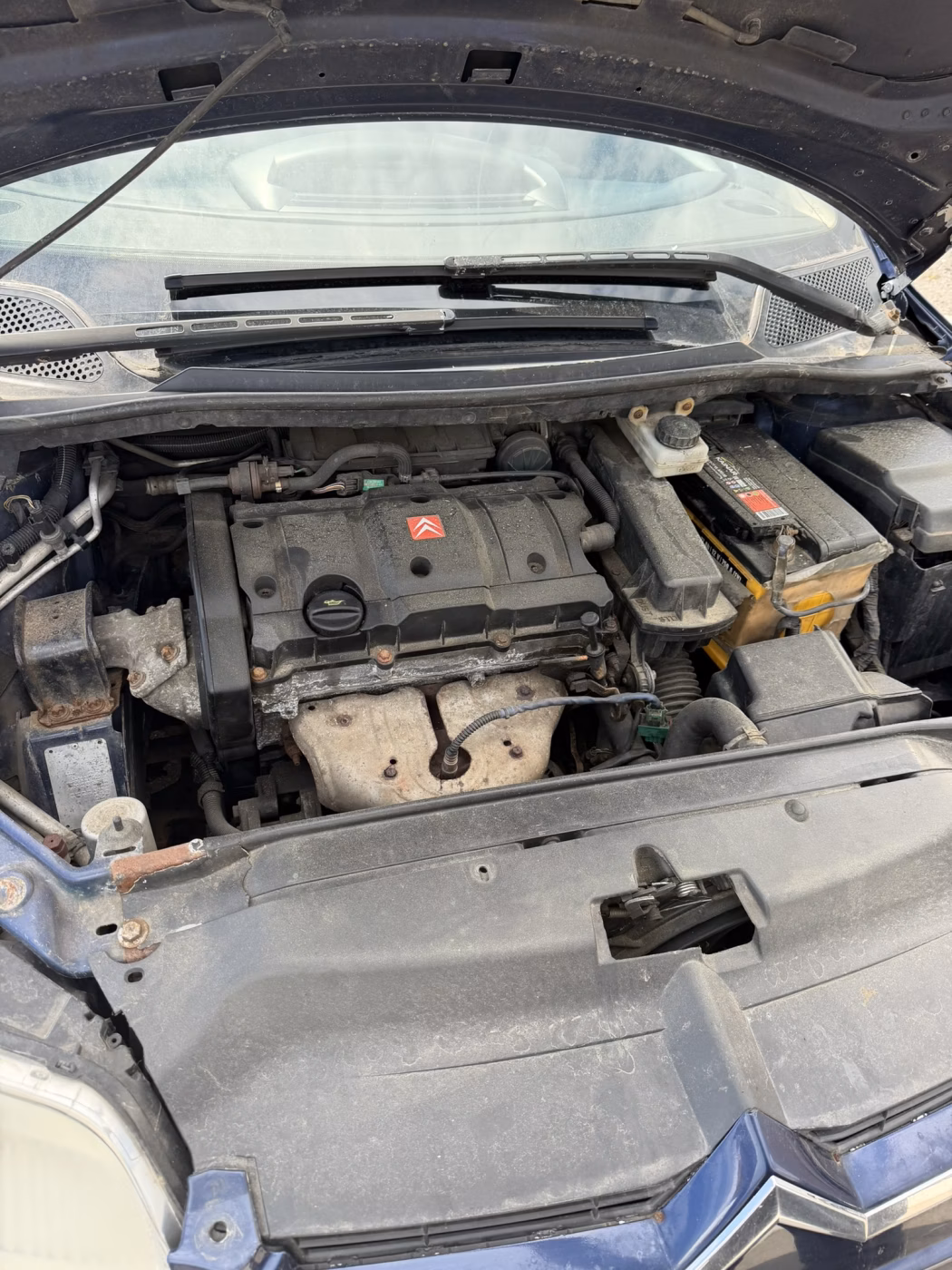 Citroen C4 фото 18