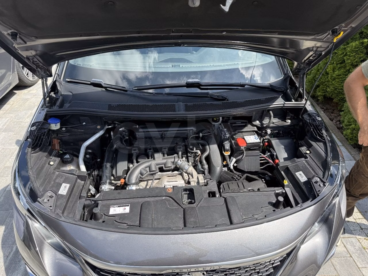 Peugeot 3008 фото 22