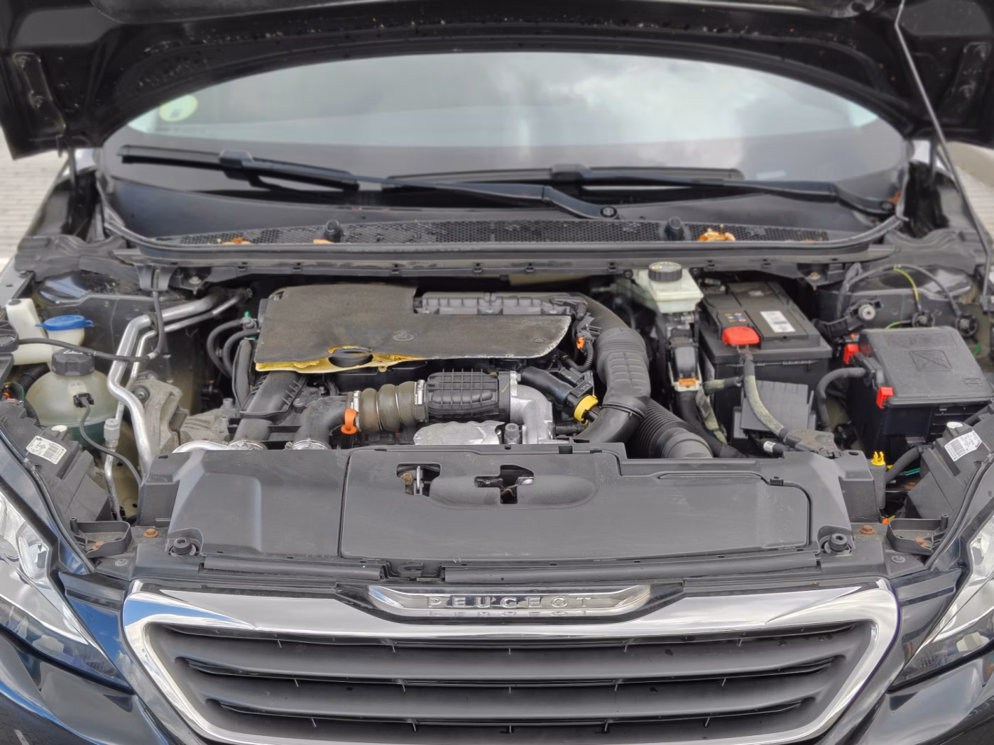 Peugeot 308 фото 6