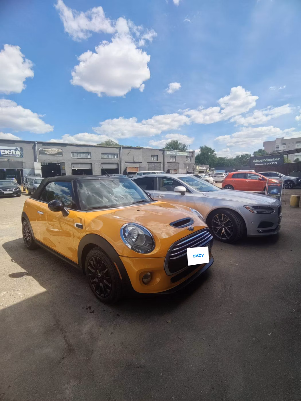 MINI Cabrio фото 3