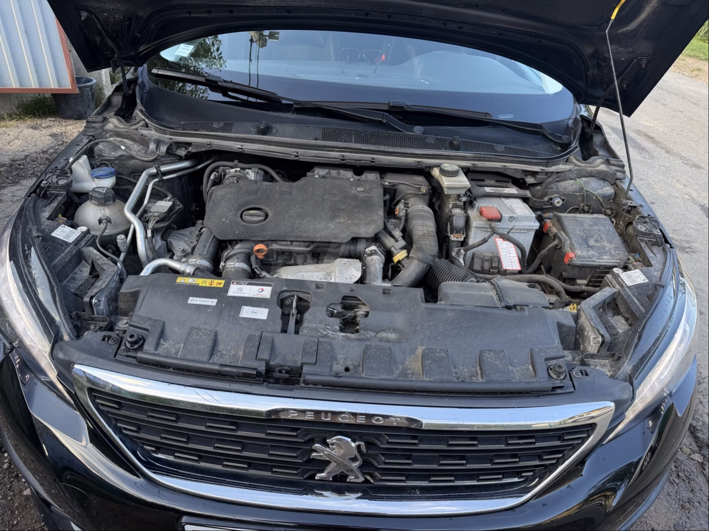 Peugeot 308 фото 3