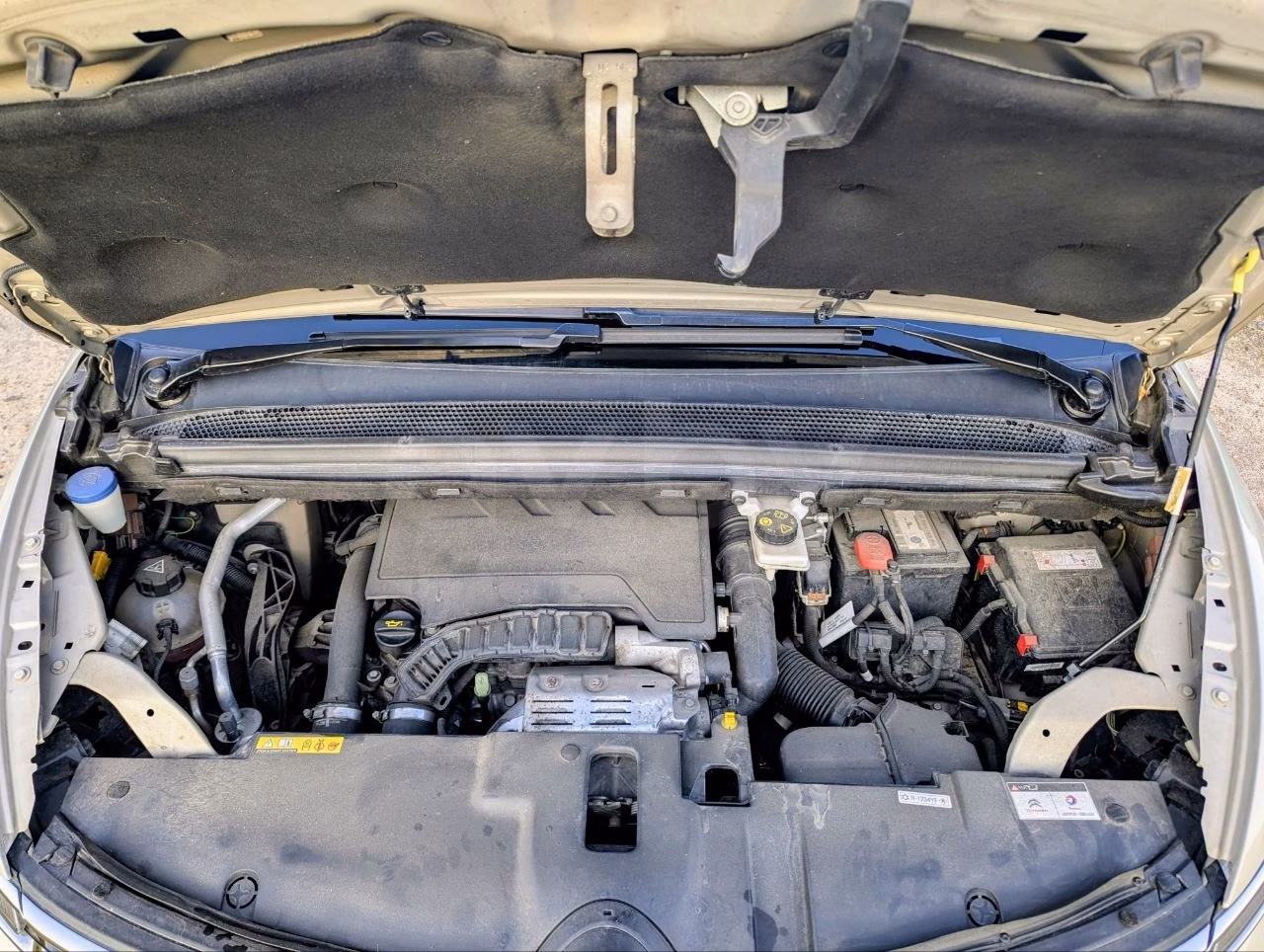 Citroen C4 Spacetourer фото 22