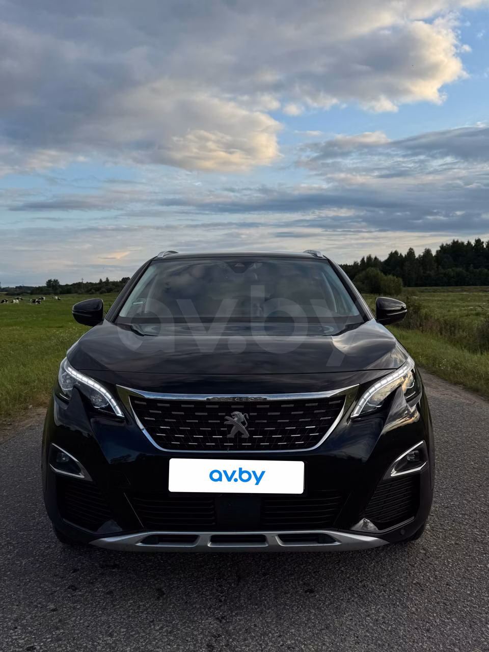 Peugeot 3008 фото 4
