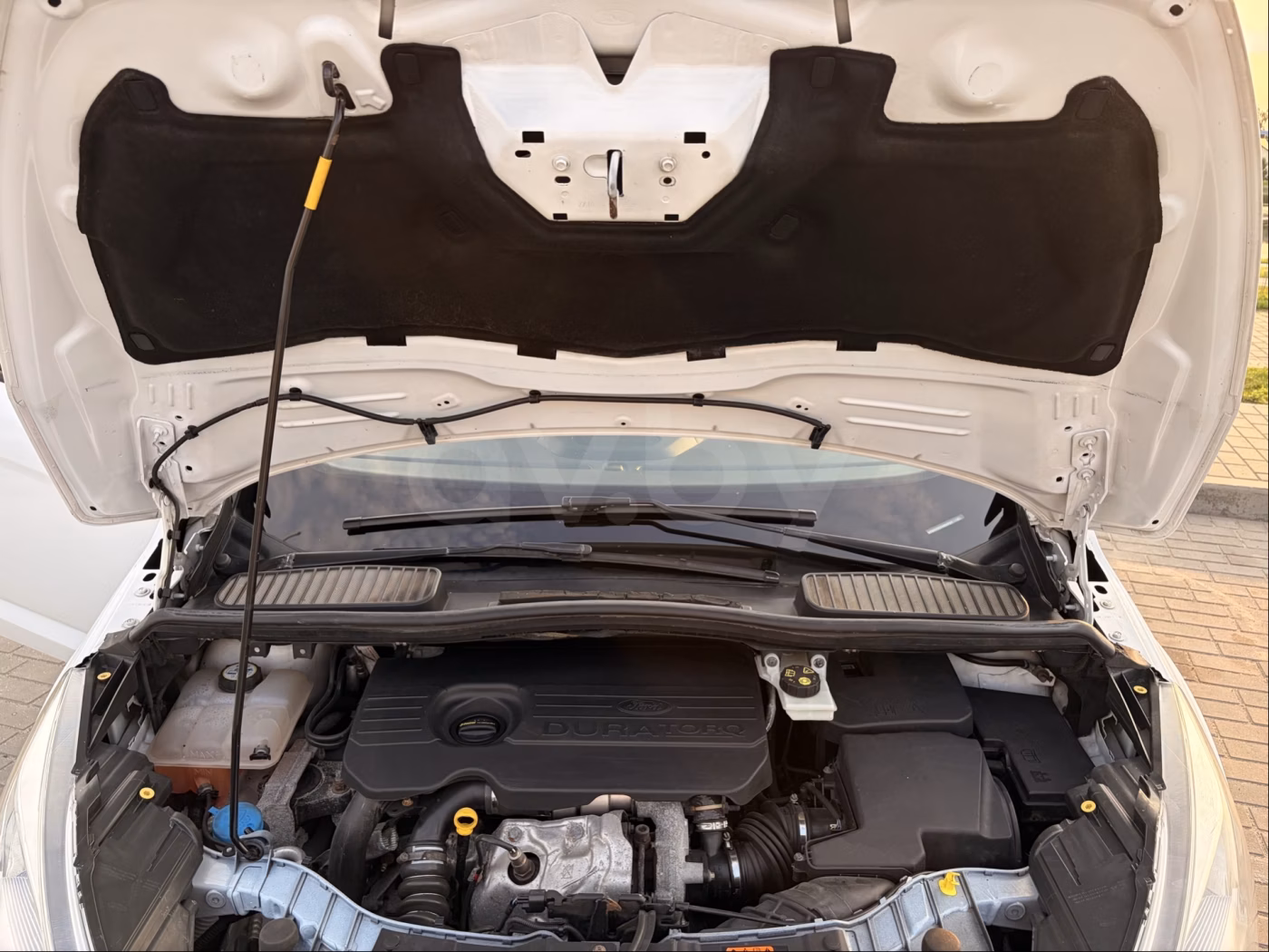 Ford C-MAX фото 19