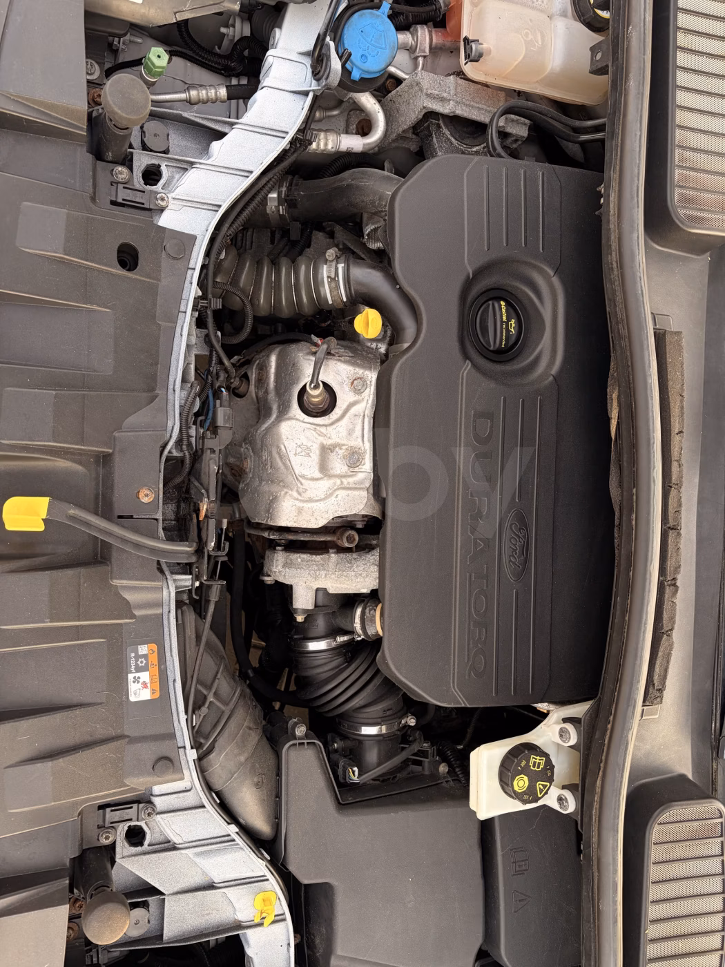 Ford C-MAX фото 20