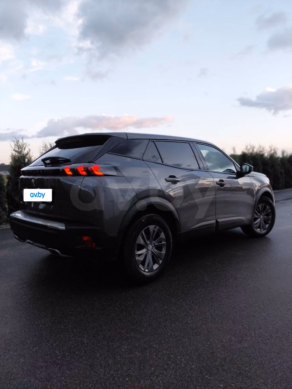 Peugeot 2008 фото 6