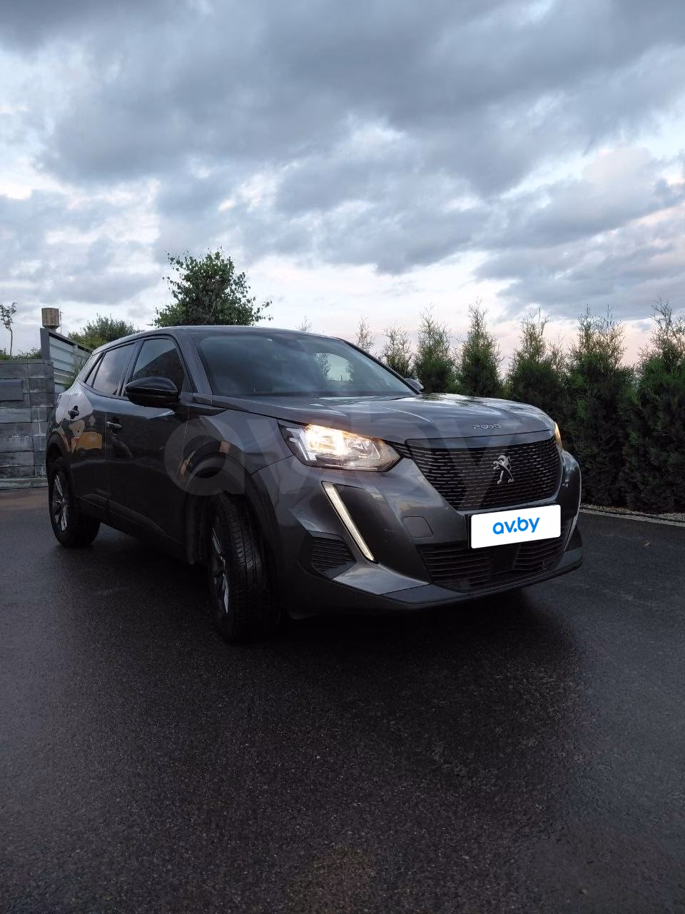 Peugeot 2008 фото 8