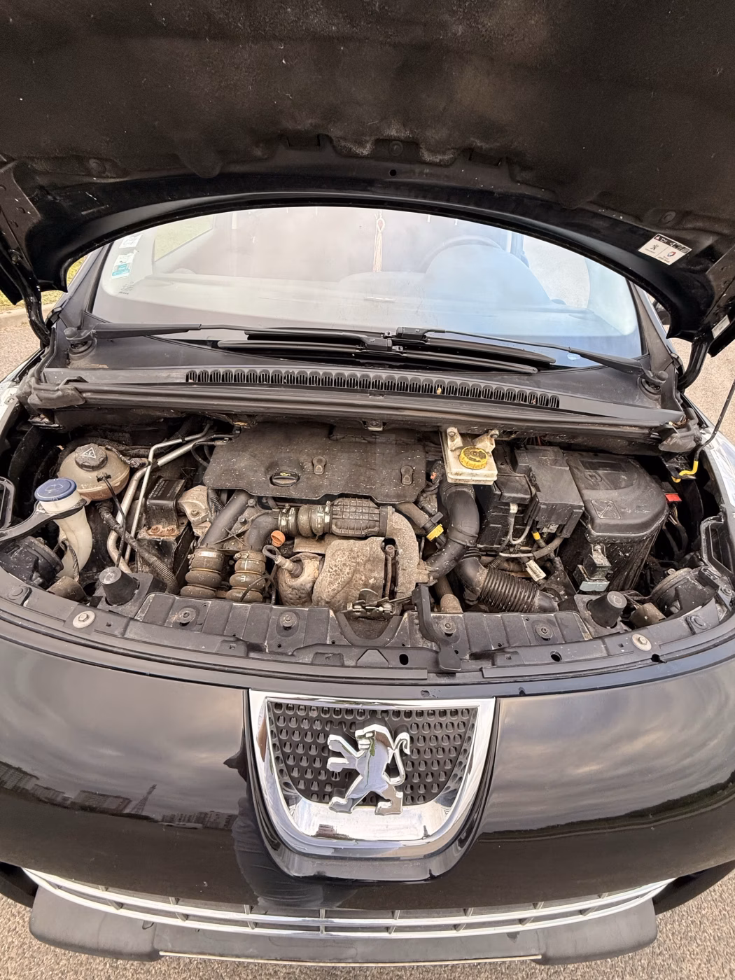 Peugeot 3008 фото 15
