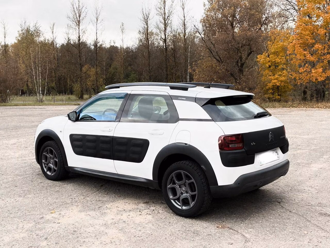 Citroen C4 Cactus фото 3