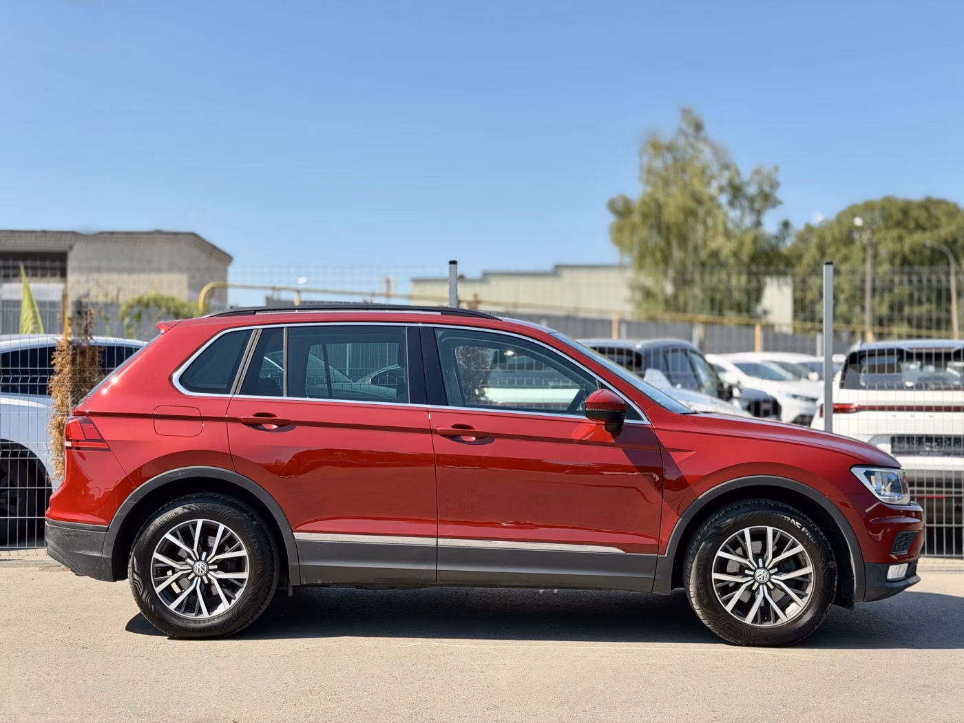 Volkswagen Tiguan фото 6