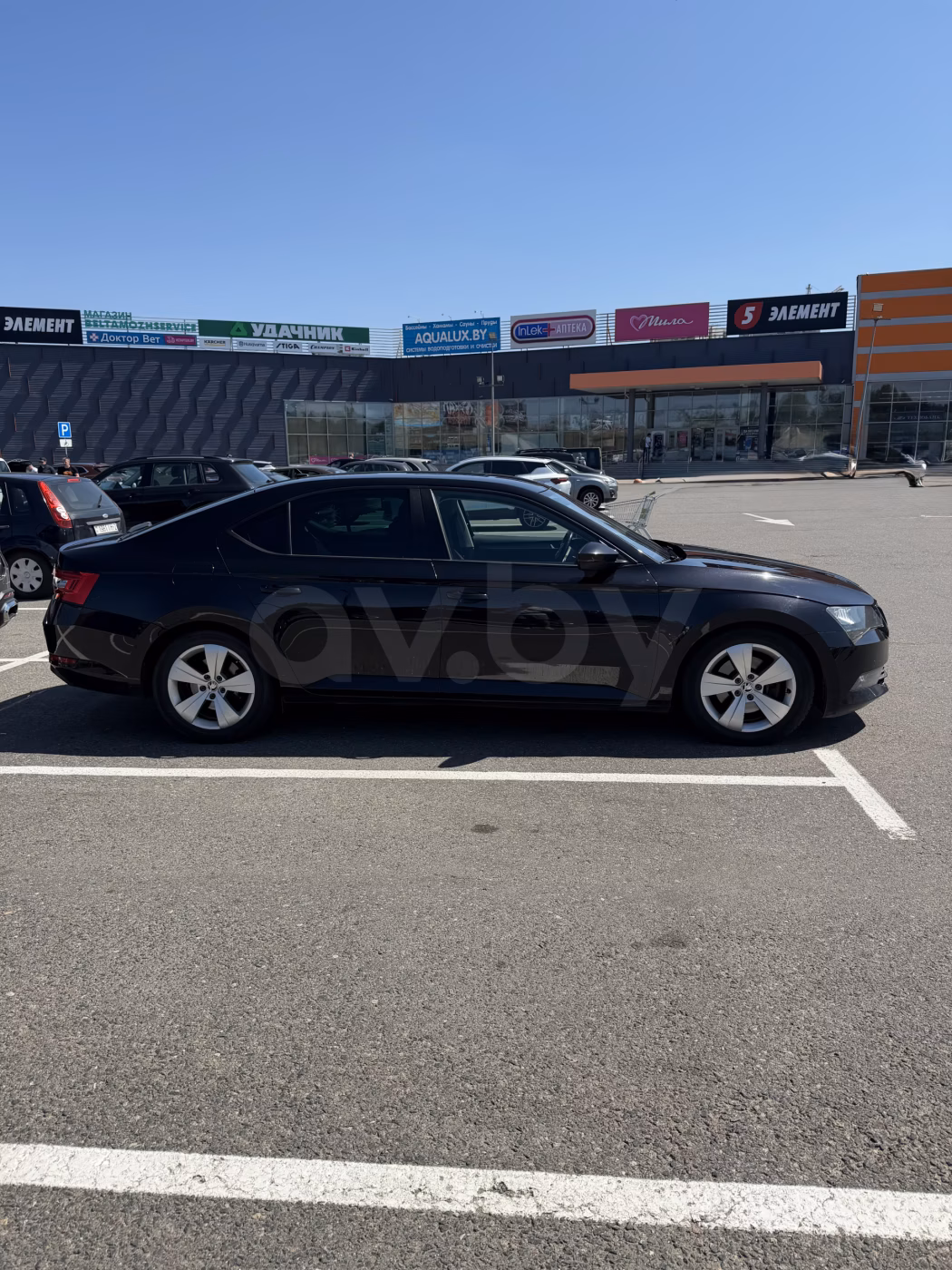 Skoda Superb фото 3