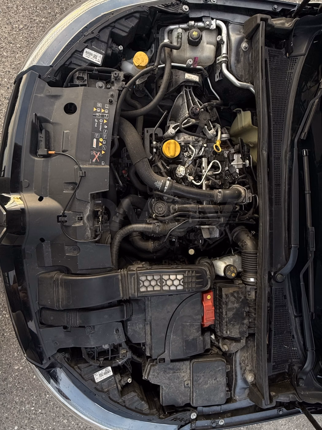 Renault Megane фото 24