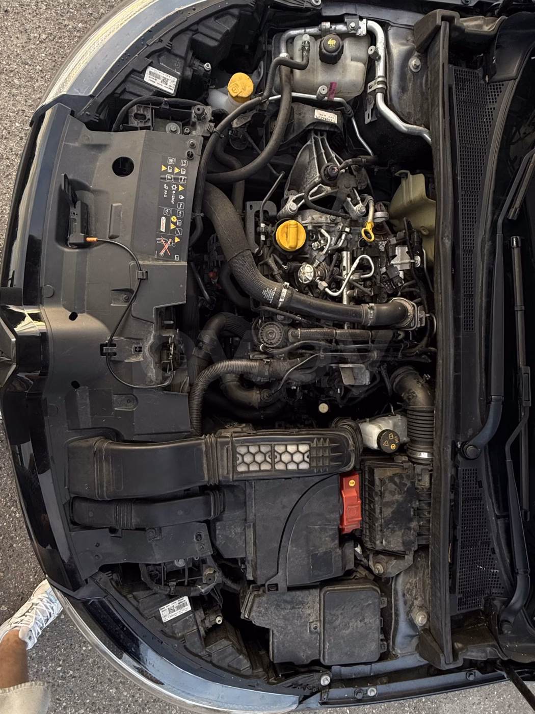 Renault Megane фото 25