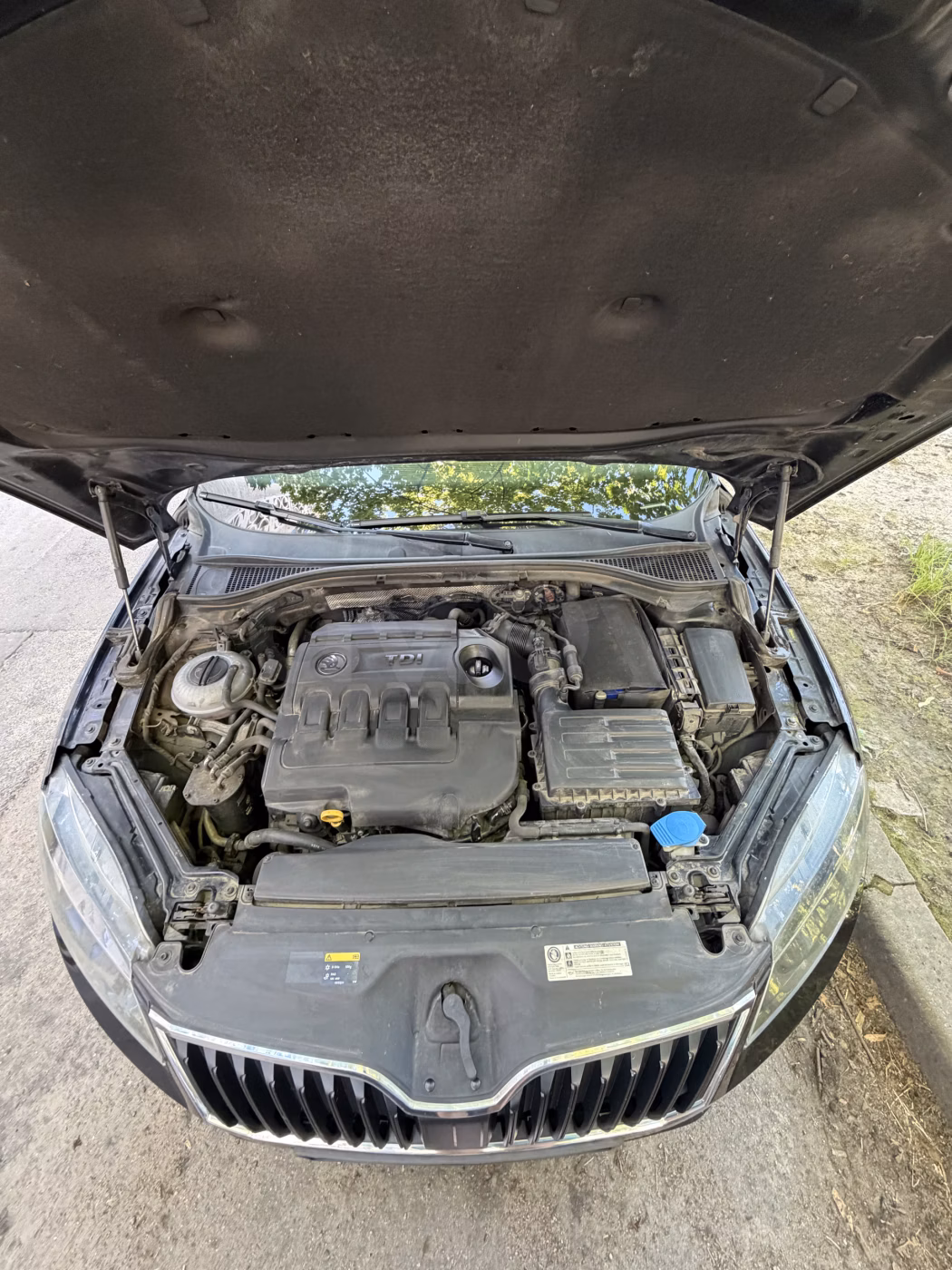 Skoda Superb фото 15