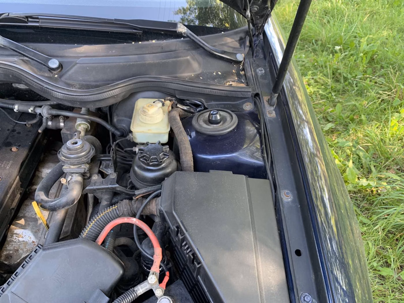 Opel Omega фото 8