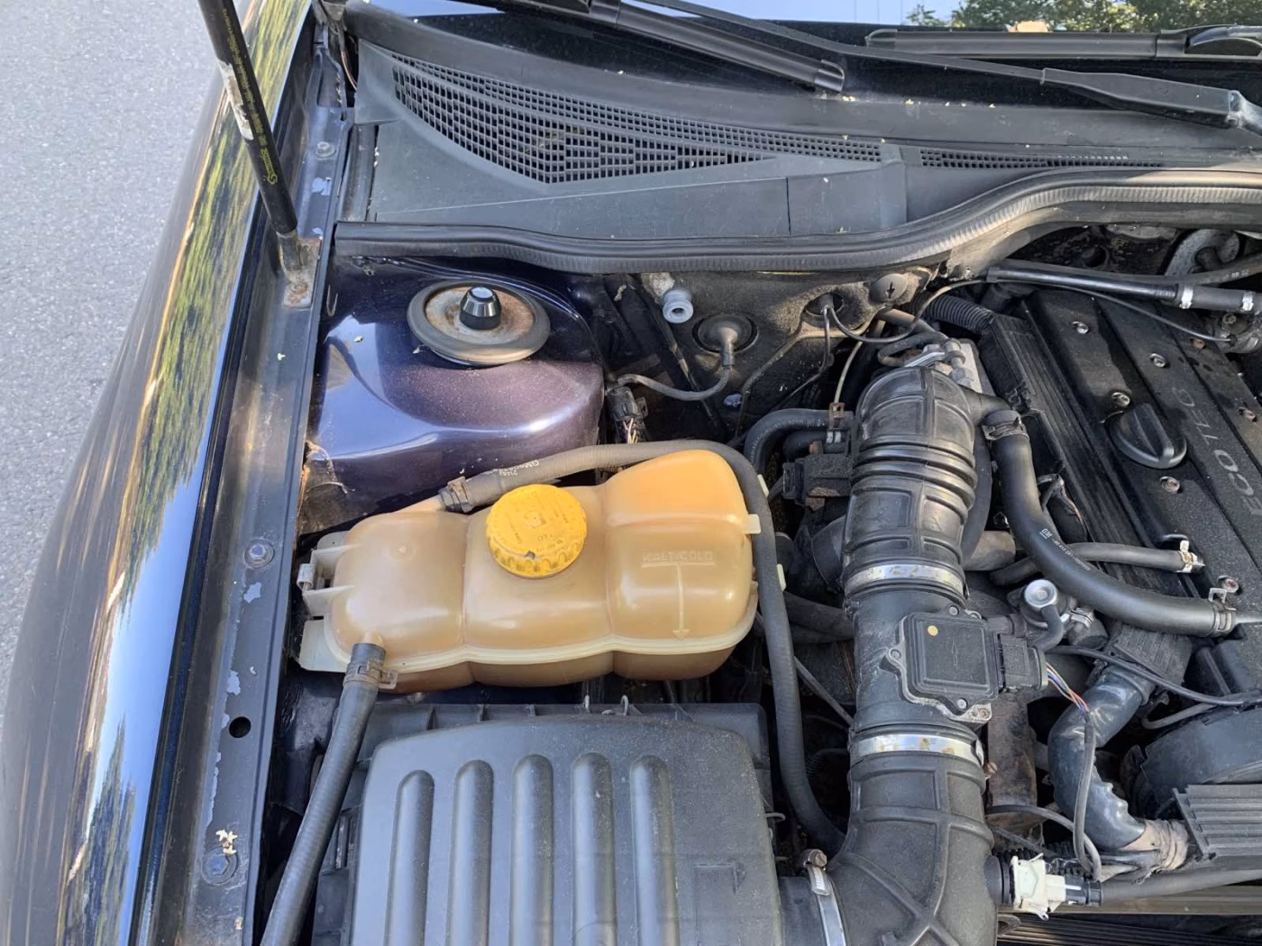 Opel Omega фото 7