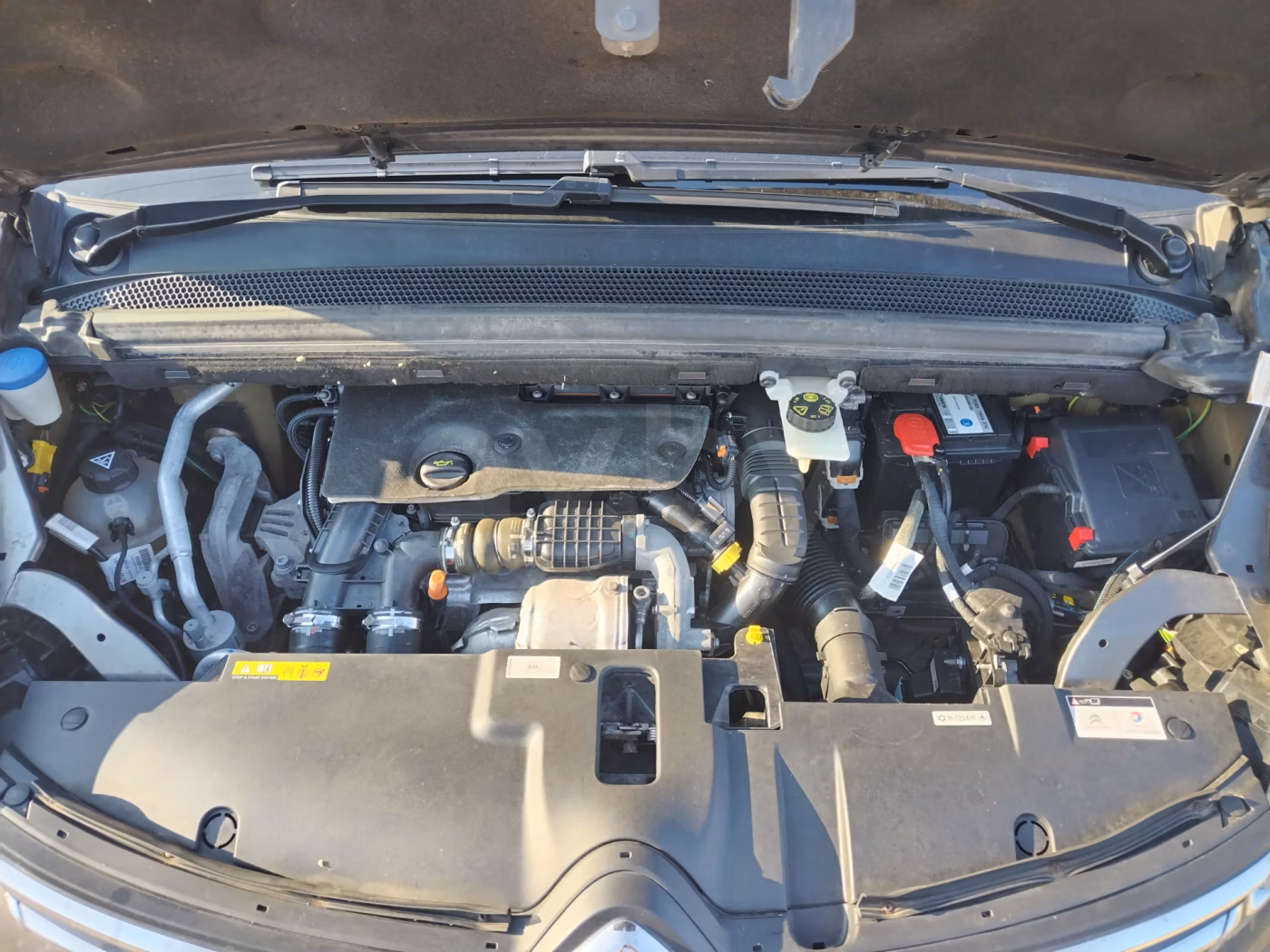Citroen C4 Spacetourer фото 9