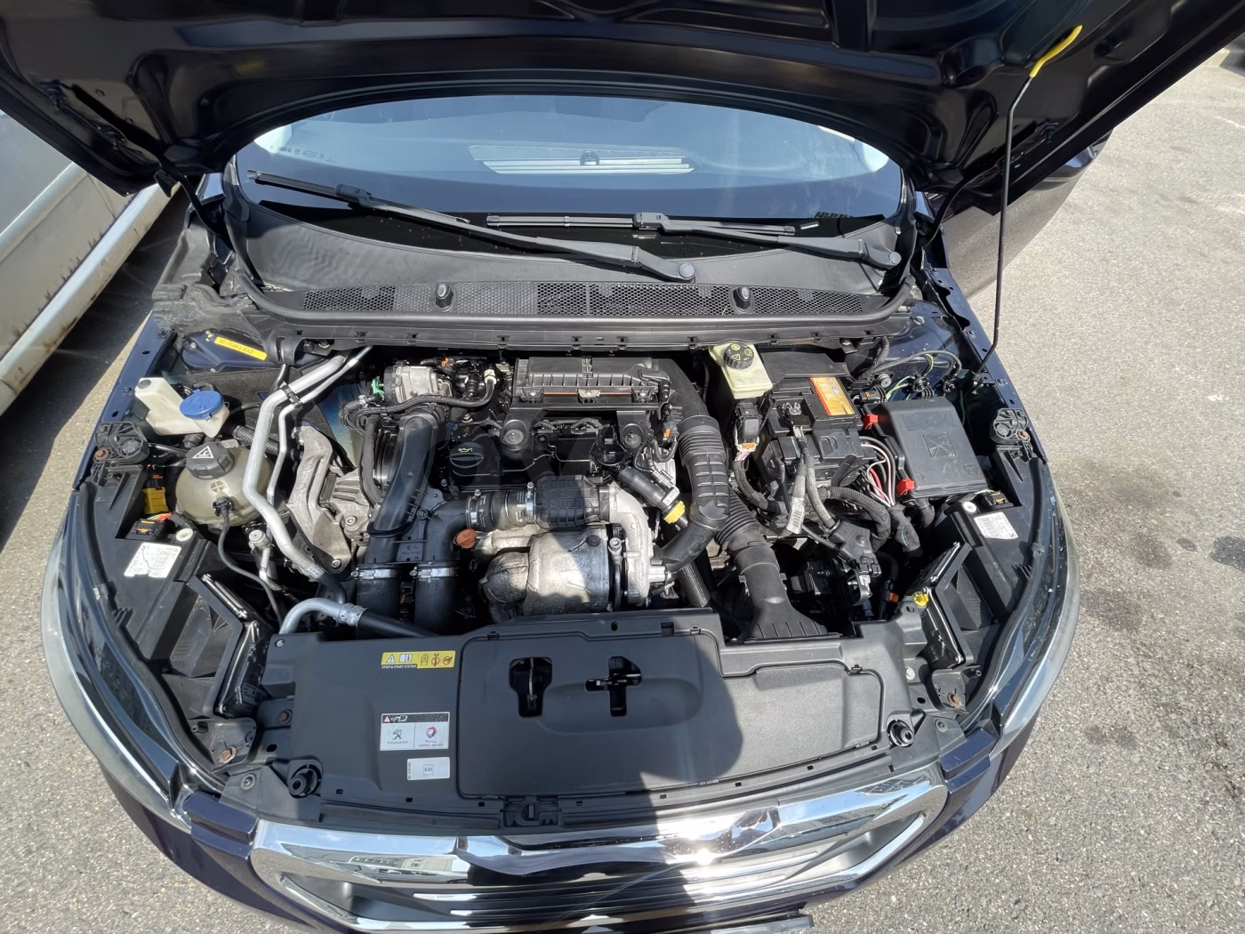Peugeot 308 фото 9
