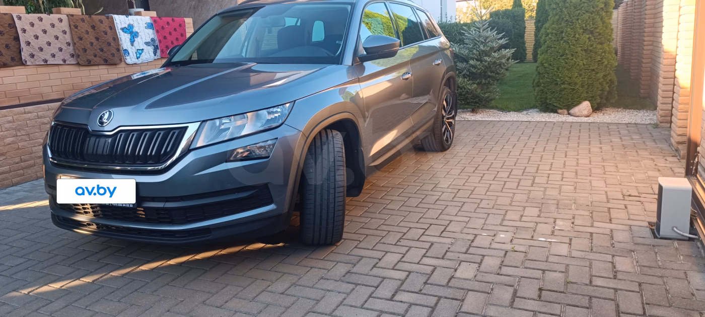 Skoda Kodiaq фото 2